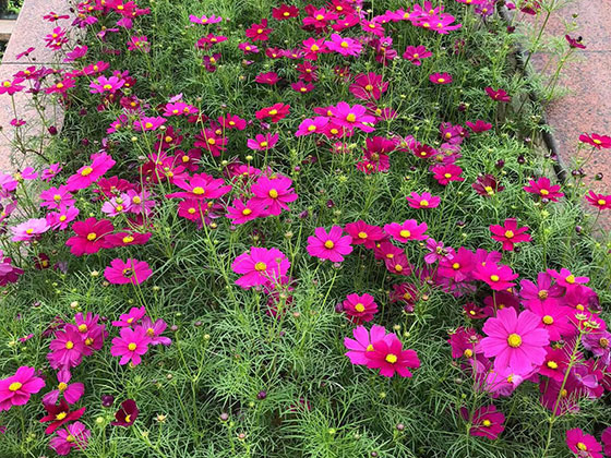 湘西人造花仿真花|设计园林